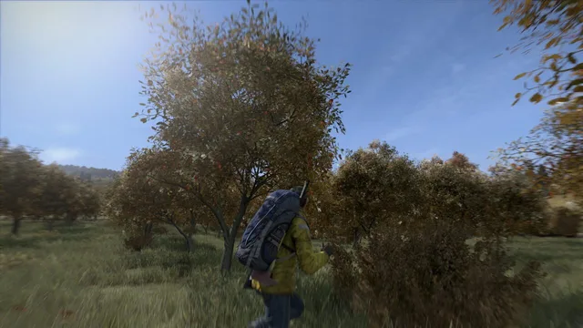 DayZ — Skärmbilder 5