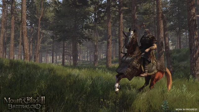 Mount & Blade II: Bannerlord — Screenshots 3