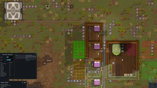 RimWorld — Kuvakaappaukset 1