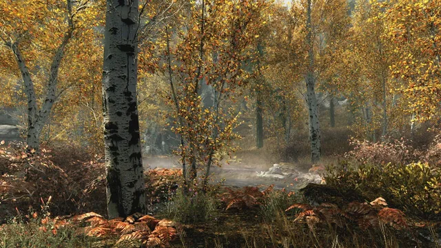 The Elder Scrolls V: Skyrim - Special Edition — Zrzuty ekranu 1