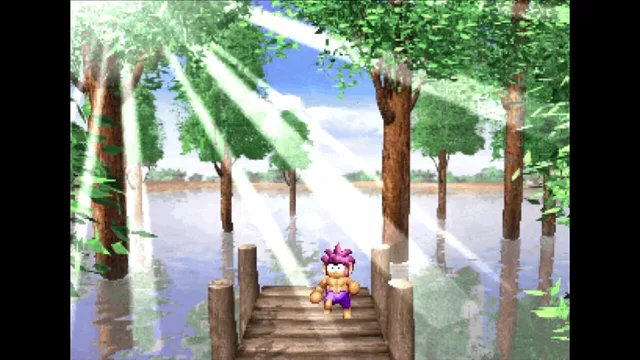 Tomba! Special Edition — Kuvakaappaukset 3